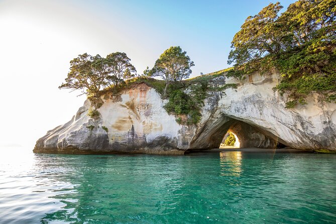 Private Tour - Coromandel Beach, Caves & Forest - Cathedral Cove boat cruise: sea caves, islands, and possible wildlife