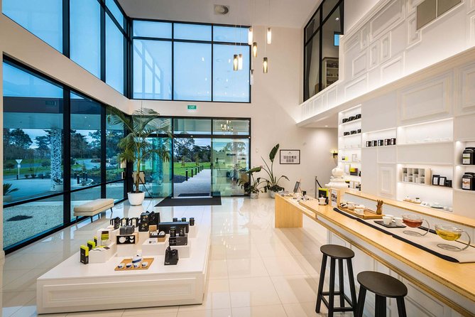 Private tour from Auckland - Waitomo Glowworm Caves, Zealong Tea & Kiwi Bird - Logistics That Make the Day Feel Smooth: Timing, Vehicle Comfort, and Picks