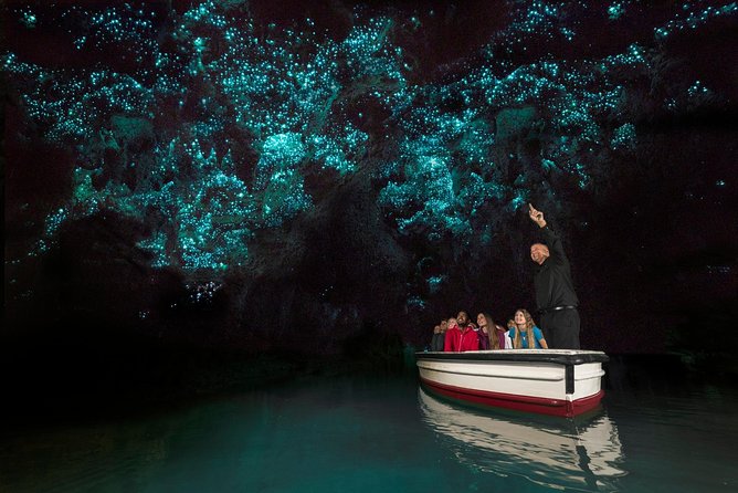 Private tour from Auckland - Waitomo Glowworm Caves, Zealong Tea & Kiwi Bird - Price and Value: What $619.95 Per Person Covers