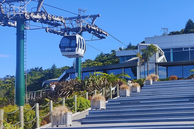 Private Tour: Hobbiton Movie Set, Rotorua Mud Pool & Treewalk - Price and value: $1,299 per person, and what you’re really paying for