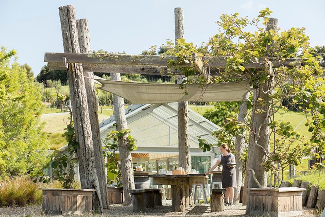 Private Tour - Horse Riding, Wine Tasting and Art Trail - Pickup at 8:30 and a 6-hour day that stays real