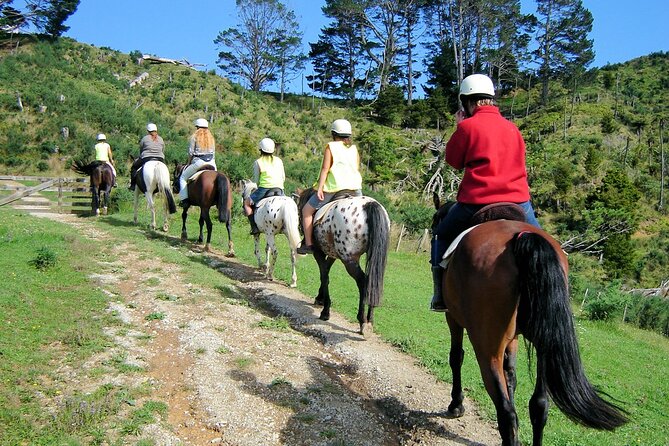 Private Tour - Horse Riding, Wine Tasting and Art Trail - Should you book this tour or look elsewhere?