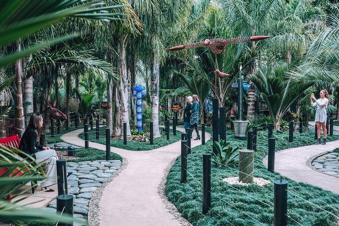 Private tour - Matakana Art & Wine Village - Your guide matters: what stood out in feedback