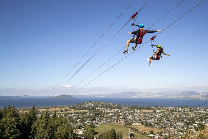 Private Tour - Rotorua Adventures Day Trip From Auckland - Agrodome Kiwi Farm: Baby Animals, Photos, and a Low-Stress Start