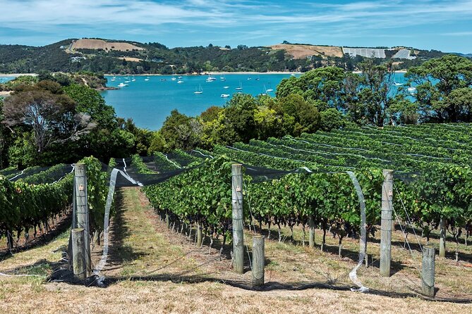 Private Tour - Waiheke Island Luxury Experience - Who This Tour Suits Best (and Who Should Think Twice)