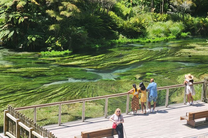 Private Tour WaiOtapu & Huka Falls & Blue springs from Auckland - Key highlights you’ll care about