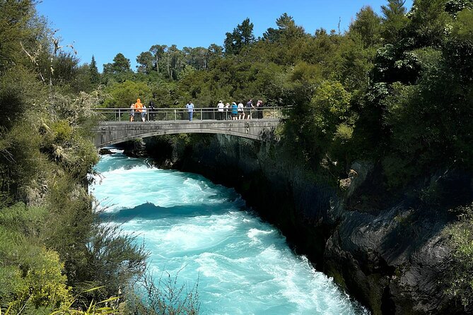 Private Tour WaiOtapu & Huka Falls & Blue springs from Auckland - Lady Knox Geyser: 30 minutes that keeps the day moving