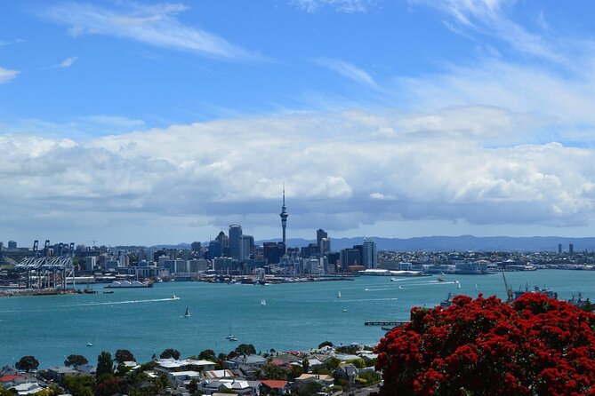 Private Transfer From Auckland Airport To Rotorua - Price and Value: What $372.34 Per Group Buys You