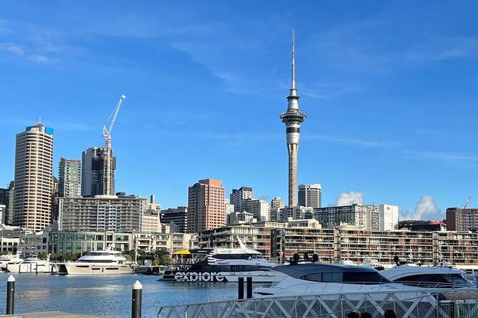 Private Transfer From Auckland Airport To Rotorua - Who This Private Auckland to Rotorua Transfer Suits Best