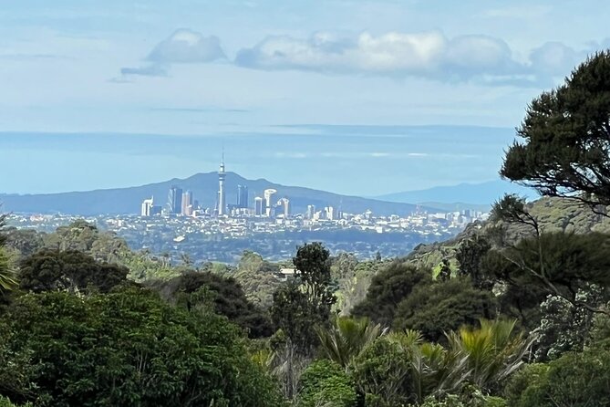Private Transfer From Auckland International Airport To Auckland City - Customizable to Your Needs (Without Turning It Into a Tour)