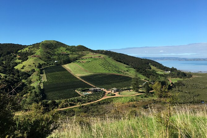 Private Vineyard Bush Walk Tour in Waiheke Island - Key things to know before you go