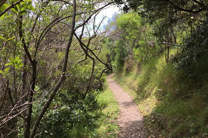 Private Vineyard Bush Walk Tour in Waiheke Island - Waiheke bush-and-vineyards: what makes this day click