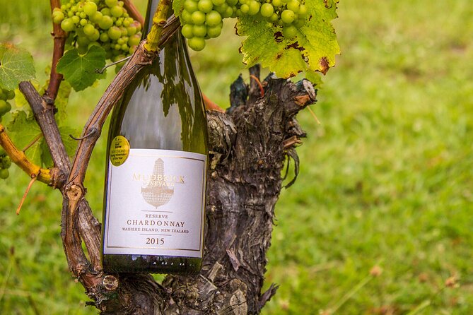 Private Vineyard Bush Walk Tour in Waiheke Island - Rolling hills and established tracks: valley, vineyard, sea in one view line