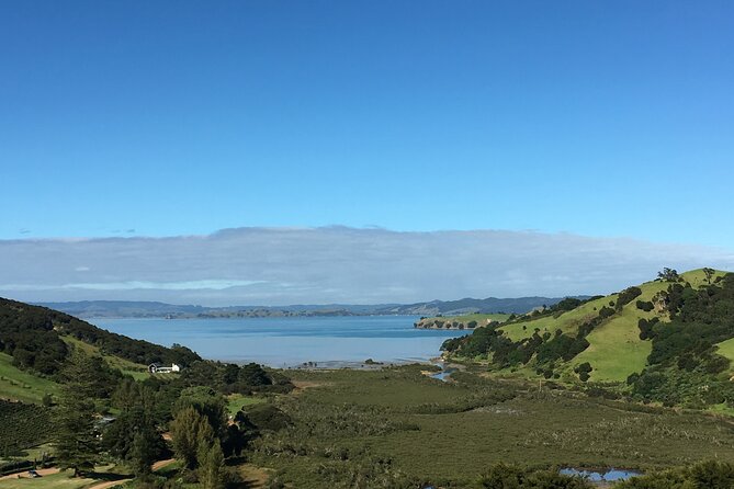 Private Vineyard Bush Walk Tour in Waiheke Island - Where the guides really make a difference
