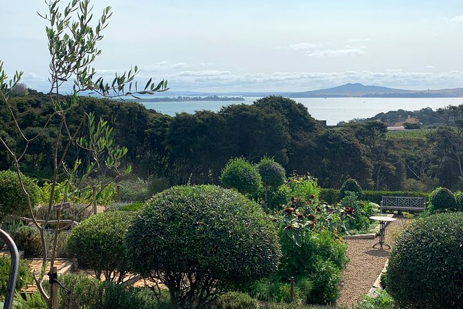 Private Vineyard Bush Walk Tour in Waiheke Island - Price and value: what you’re paying for (and what you still need to budget)