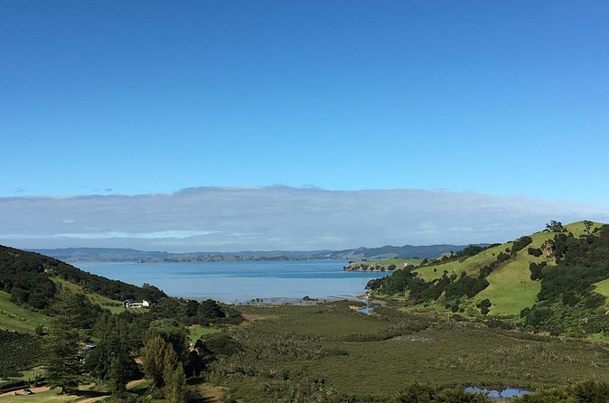 Private Vineyard Bush Walk Tour in Waiheke Island - Weather-proof planning: how to pack so the day stays fun