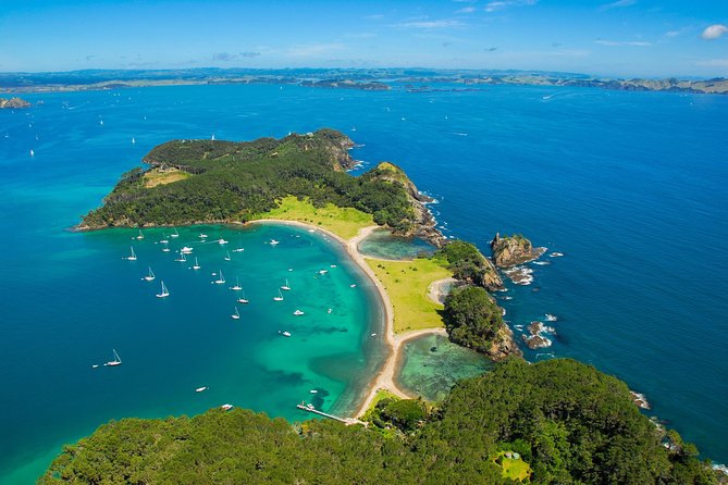 Redwood Forest , Blue Springs & Huka Falls Day Tour from Auckland - Taupo Lunch Break: How to Use Those 30 Minutes Smart