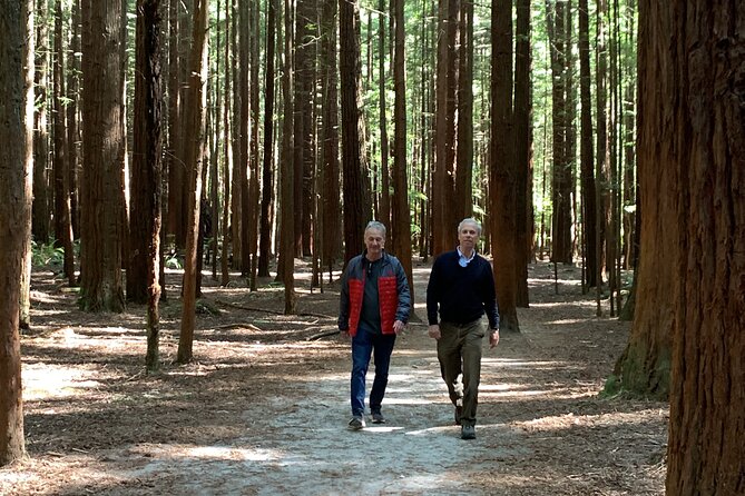Redwood Forest , Blue Springs & Huka Falls Day Tour from Auckland - The Time on the Road vs. Time on Your Feet