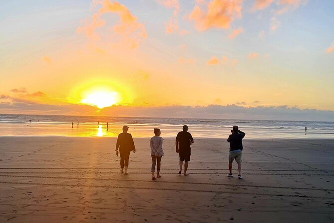 Romantic Auckland Sunset tour with Winery & Thermal pool - Who this Auckland sunset tour is best for