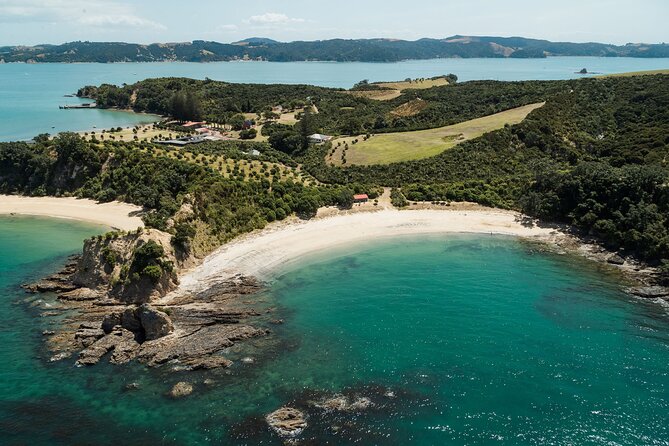 Rotoroa Island Ferry - from Auckland - Key things I’d watch for before you go