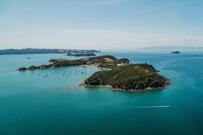 Rotoroa Island Ferry - from Auckland - Island time on Rotoroa: walking tracks, beaches, and spotting wildlife