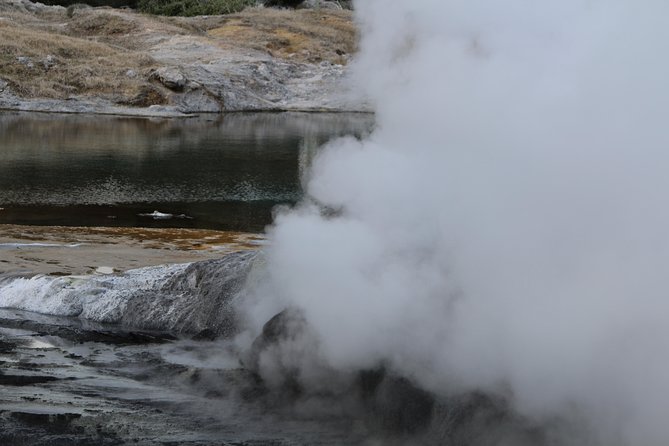 Rotorua and Waitomo Caves Day Trip from Auckland -Smaller Groups - Price and Value: What $316.49 Covers