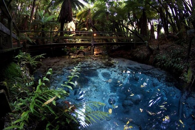 Rotorua Cultural & Geothermal Small Group Tour From Auckland - A 13-hour Auckland-to-Rotorua day that packs two worlds