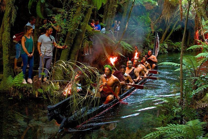 Rotorua Cultural & Geothermal Small Group Tour From Auckland - What you’ll learn on the drive (and why it helps at the stops)
