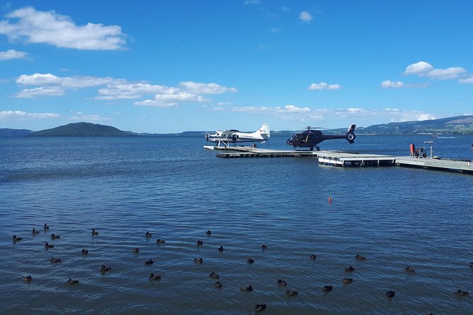 Rotorua Full Day Private Tour from Auckland - Te Whakarewarewa Geothermal Valley: mud pools and Pohutu Geyser