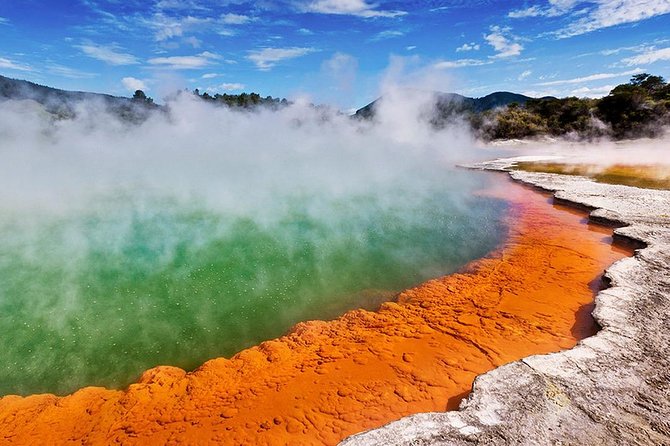 Rotorua Highlights inc. Waiotapu & Te Puia Day Tour from Auckland - Price and Value: What $247.61 Buys (and What It Can’t)