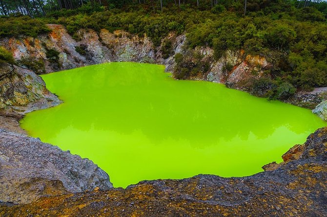 Rotorua Highlights inc. Waiotapu & Te Puia Day Tour from Auckland - Best Fit: Who This Tour Suits
