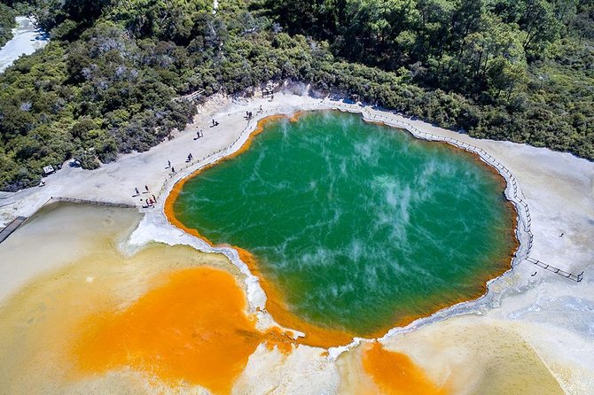 Rotorua Highlights inc. Waiotapu & Te Puia Day Tour from Auckland - Te Puia: Māori Culture with a Guided Tour (Plus the Longer Rotorua Think)