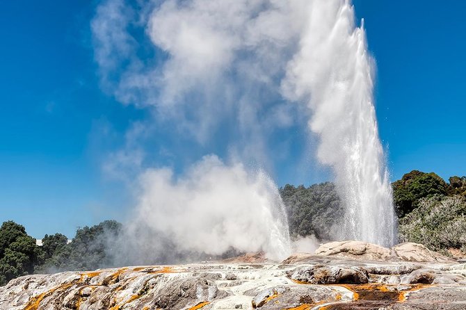 Rotorua Highlights Tour from Auckland with Optional Extras - Key things to know before you go