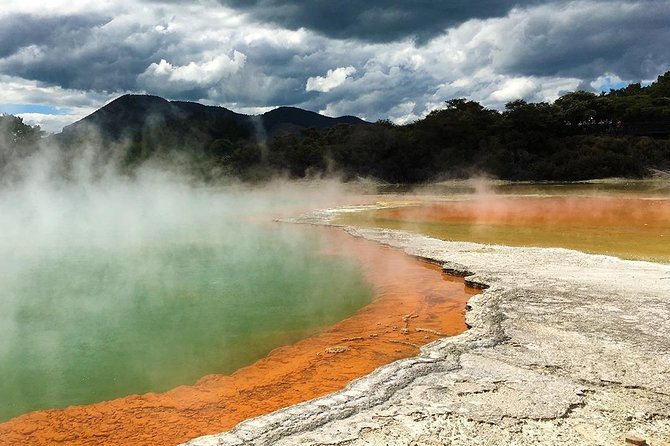 Rotorua Highlights Tour from Auckland with Optional Extras - The guide factor: why named drivers make a difference