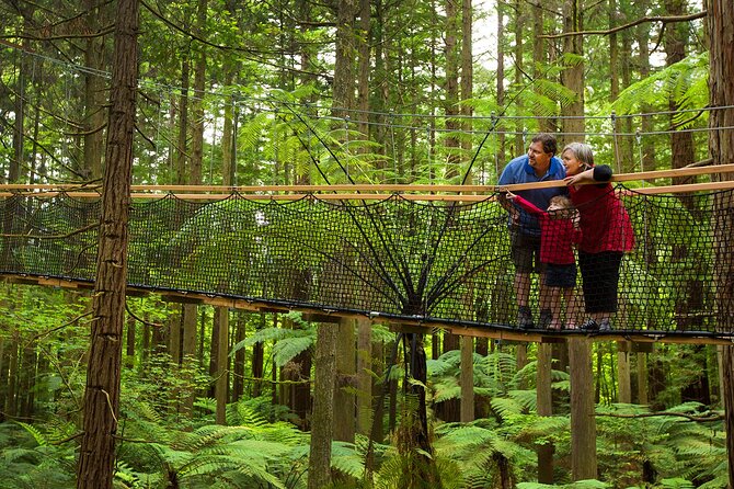 Rotorua Highlights Tour from Auckland with Optional Extras - Who should book this Rotorua Highlights Tour?