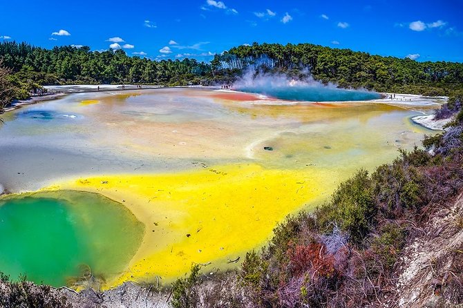 Rotorua Highlights Tour from Auckland with Optional Extras - The road trip start: Auckland to Rotorua without the stress