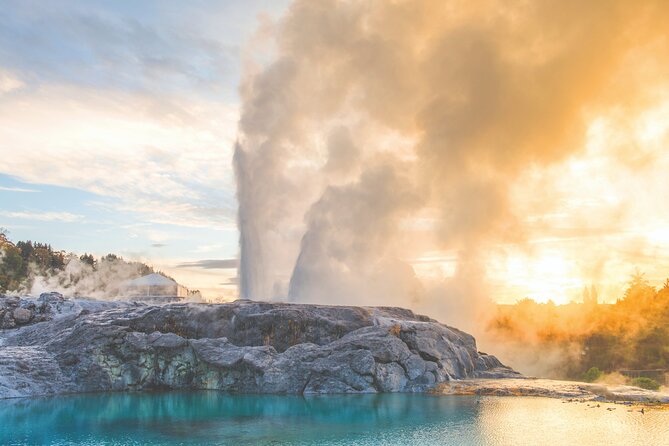 Rotorua Highlights Tour inc. Te Puia Tour, Lunch & Cultural Show - 6:30 am Departure: Auckland to the Waikato Countryside and Tirau