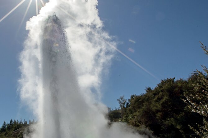 Rotorua Māori Village and Activity Combinations from Auckland - The 6:00 am start: pickup comfort vs a very long bus day
