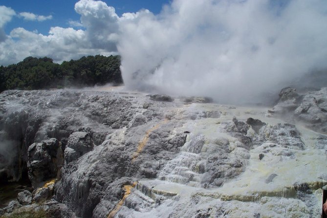 Rotorua Small-Group Day Tour from Auckland - Key things I’d notice before you go