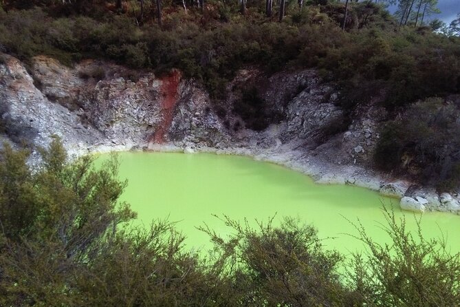 Rotorua Small-Group Day Tour from Auckland - The buffet lunch at Te Puia: a real meal, not just a stopgap