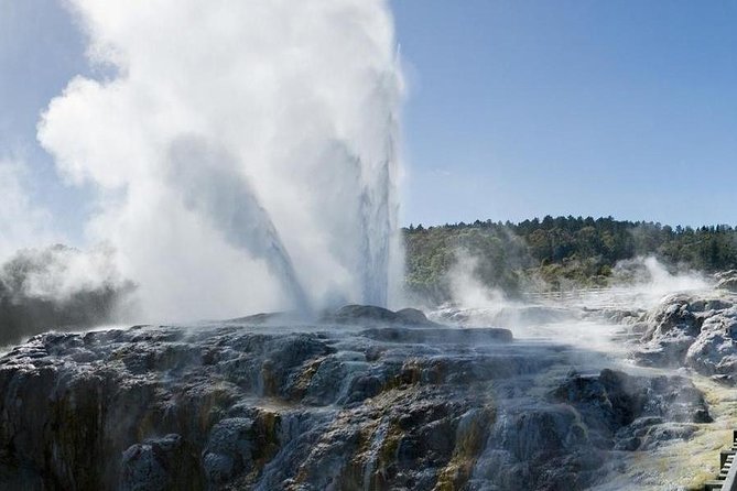 Rotorua Small-Group Day Tour from Auckland - Te Puia and the Māori Arts & Crafts Institute: culture you can actually watch