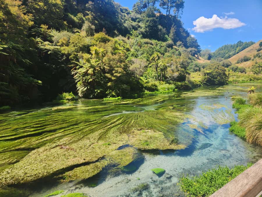 Rotorua & Taupo DayTour Waiotapu & Huka Falls from Auckland - Huka Falls: fast, dramatic, and built for blue-water photos