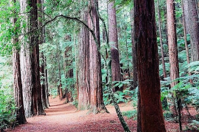 Rotorua & Taupo DayTour with Waiotapu & Huka Falls from Auckland - Taupo Town and Lake Time: Where the Day Breathes