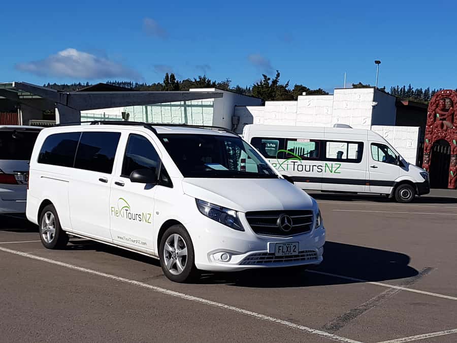 Rotorua to Auckland - Afternoon Transfer with Waitomo Caves - Key points at a glance