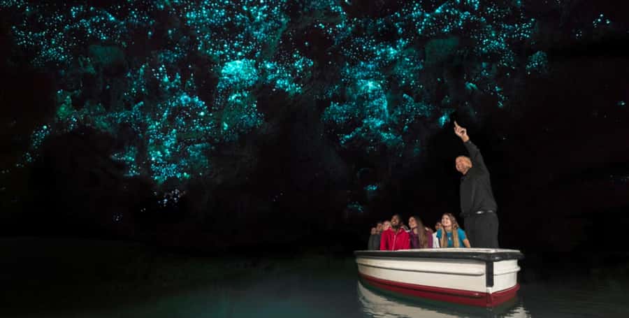 Rotorua to Auckland - Afternoon Transfer with Waitomo Caves - The 7-Hour Rhythm: When You’ll Feel the Day
