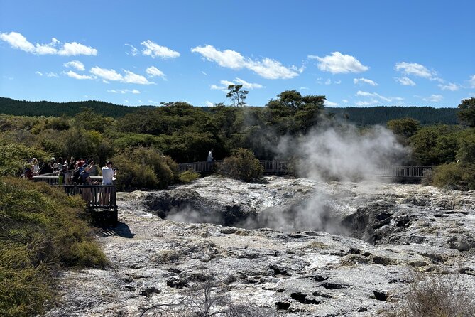 Rotorua: WaiOtapu & Redwood forest & Blues springs from Auckland - Auckland to Rotorua in One Shot: How the Timing Really Works
