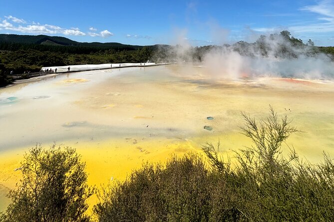 Rotorua: WaiOtapu & Redwood forest & Blues springs from Auckland - Private Transport + a Guide Who Can Adjust: The Real Value