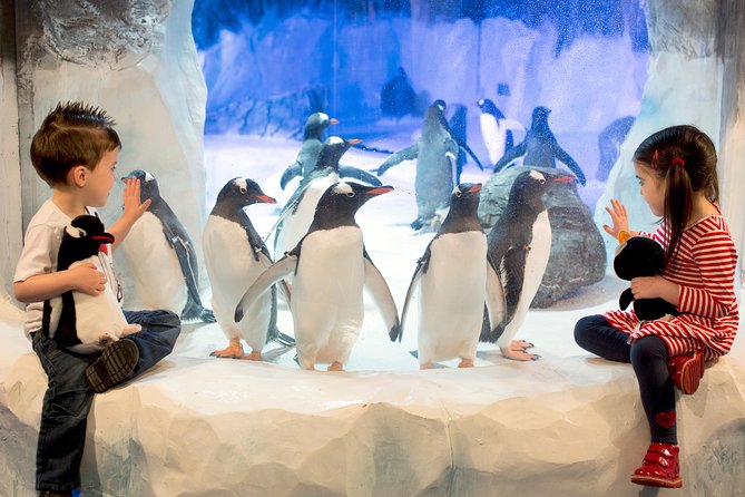 SEA LIFE Kelly Tarlton's General Admission - Key Highlights You’ll Actually Care About