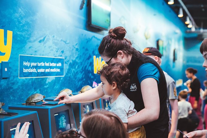 SEA LIFE Kelly Tarlton's General Admission - The One Thing to Watch: It’s Compact, Not All-Day