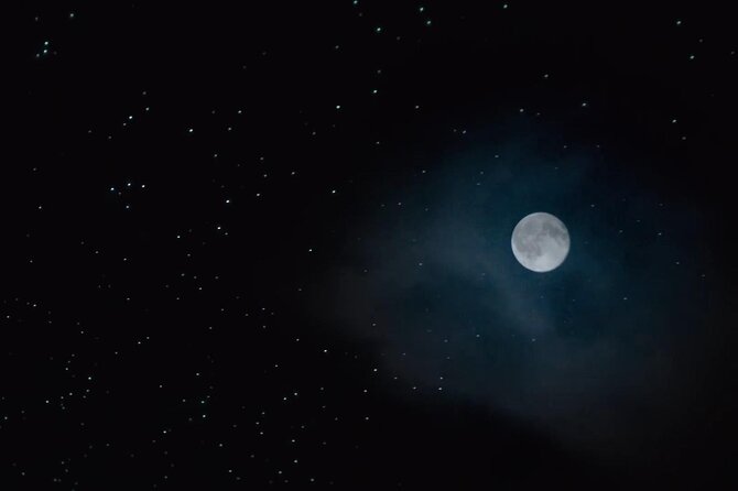 See Auckland's Secret Glow Worms - Getting There and Back: Meeting at Auckland 1010